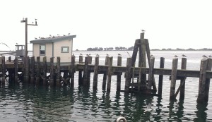 Waterfront Bodega Bay